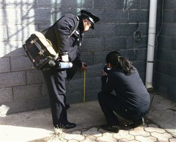 调查取证